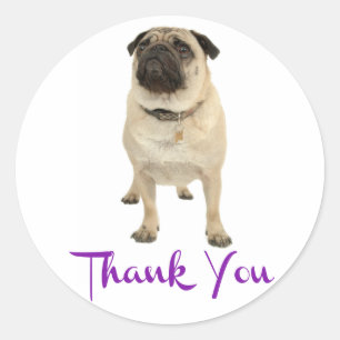Danke Mops Welpen Hund Gruß Aufkleber / Etikett