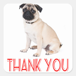 Danke Mops Welpen Hund Gruß Aufkleber / Etikett