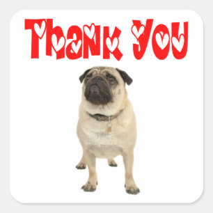 Danke Mops Welpen Hund Gruß Aufkleber / Etikett