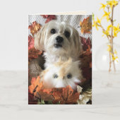 Danke Morkie II - Blank Card Karte (Gelbe Blume)