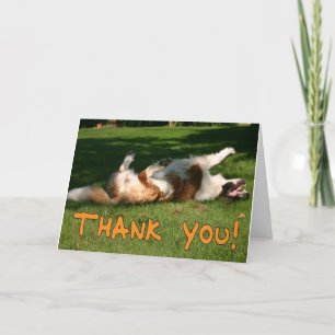 Danke Munchkin