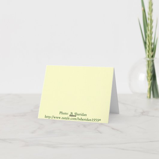 Danke notecards (Rückseite)