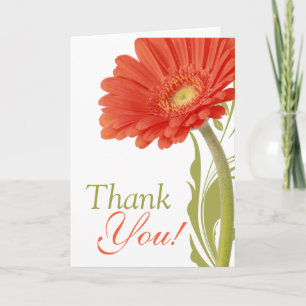 Danke   Orange Gerbera Daisy