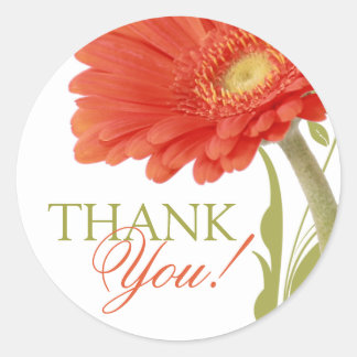 Danke | Orange Gerbera Daisy Runder Aufkleber