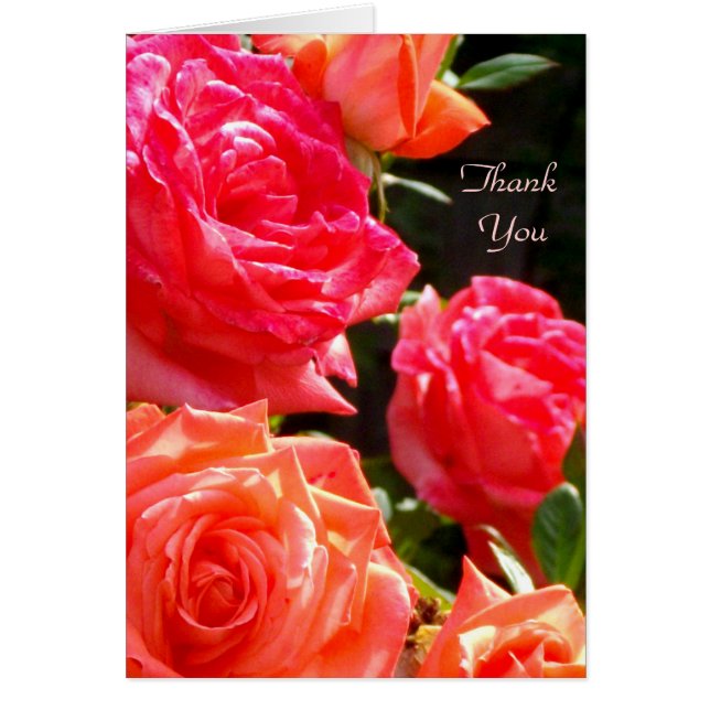 Danke - Peach Rose (Vorne)