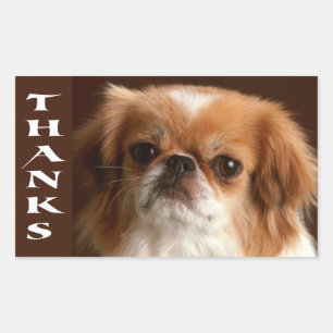 Danke Pekingese Welpen-Hund-Gruß-Aufkleber Rechteckiger Aufkleber