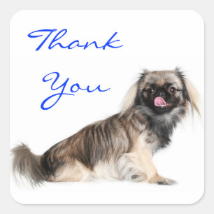 Danke Pekingeser Welpen-Hund Grüß Aufkleber
