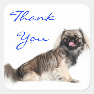 Danke Pekingeser Welpen-Hund-Gruß-Aufkleber Quadratischer Aufkleber