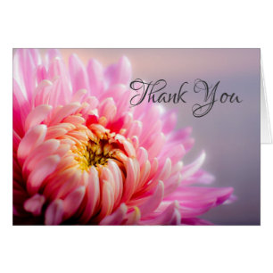 Danke Pink Chrysanthemum Macro Foto Note Card