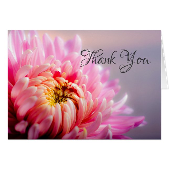 Danke Pink Chrysanthemum Macro Foto Note Card (Vorderseite (Horizontal))