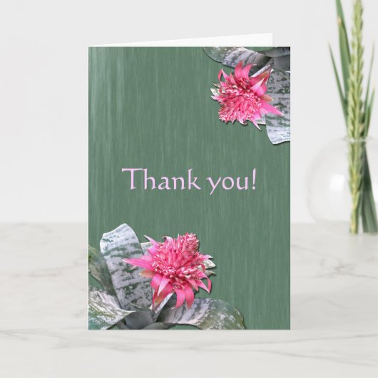 Danke Pink Flower Bromeliad (Vorderseite)