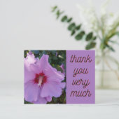 Danke, Pink Hibiskus Blume Card Postkarte (Stehend Vorderseite)