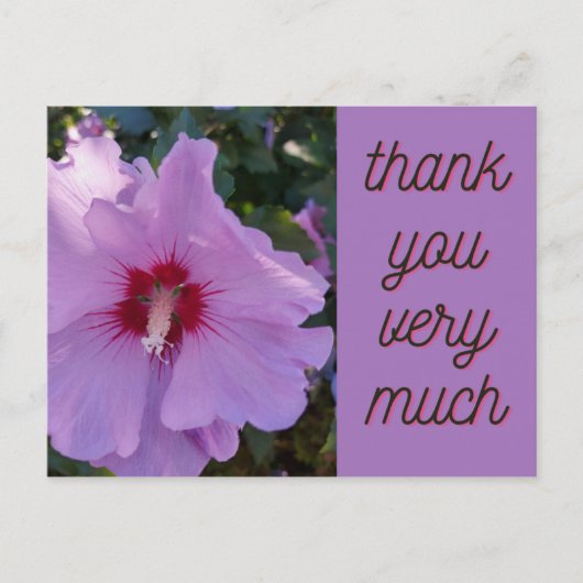 Danke, Pink Hibiskus Blume Card Postkarte (Vorderseite)