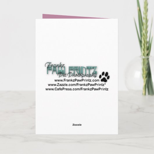 Danke - Pink Tulips - Boston Terrier (Rückseite)