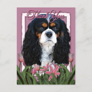 Danke - Pink Tulips - Cavalier - Tri-Color Postkarte