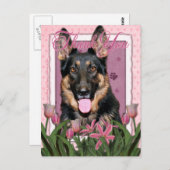 Danke - Pink Tulips - German Shepherd - Kuno Postkarte (Vorne/Hinten)