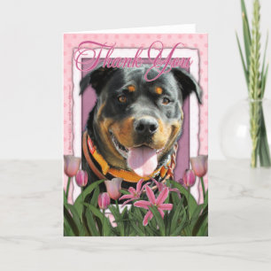 Danke - Pink Tulips - Rottweiler - SambaParTi