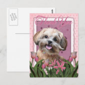 Danke - Pink Tulips - ShihPoo - Maggie Postkarte (Vorne/Hinten)