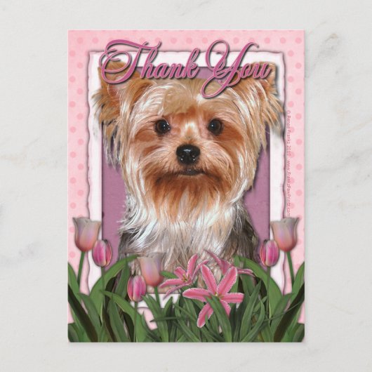 Danke - Pink Tulips - Yorkshire Terrier Postkarte (Vorderseite)