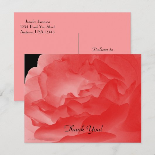 Danke Postcard, Coral Pink Rose Petals Postkarte (Vorne/Hinten)