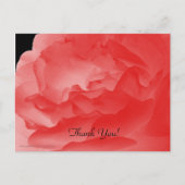 Danke Postcard, Coral Pink Rose Petals Postkarte (Vorderseite)