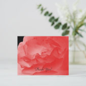 Danke Postcard, Coral Pink Rose Petals Postkarte (Stehend Vorderseite)