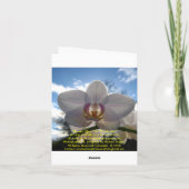 Danke, Rooster Dankeskarte (Rückseite)