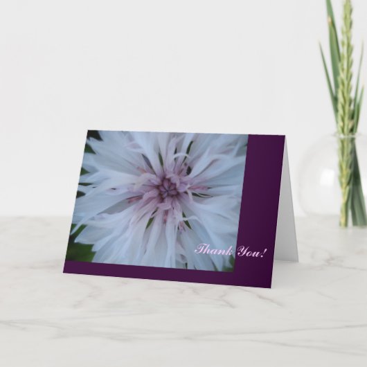 Danke rosa (Vorderseite)