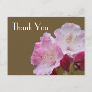 Danke, rosa Azalea Blume, 杜 鹃 花 Postkarte