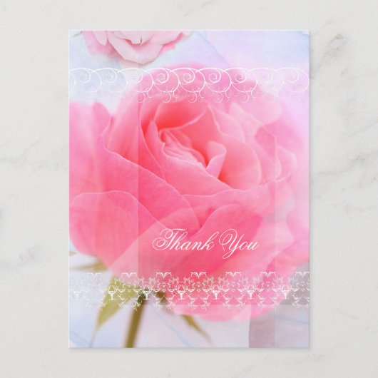 Danke, rosa Rosen auf blau Postkarte (Vorderseite)