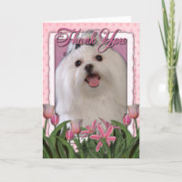 Danke - rosa Tulpen - maltesisch