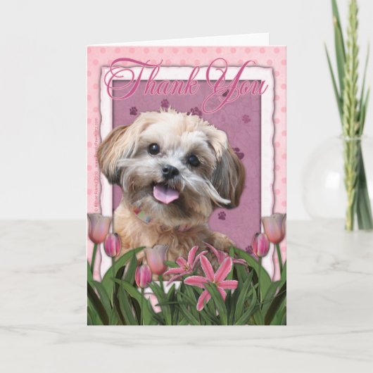 Danke - rosa Tulpen - ShihPoo - Maggie (Vorderseite)