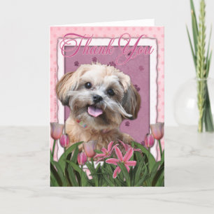 Danke - rosa Tulpen - ShihPoo - Maggie