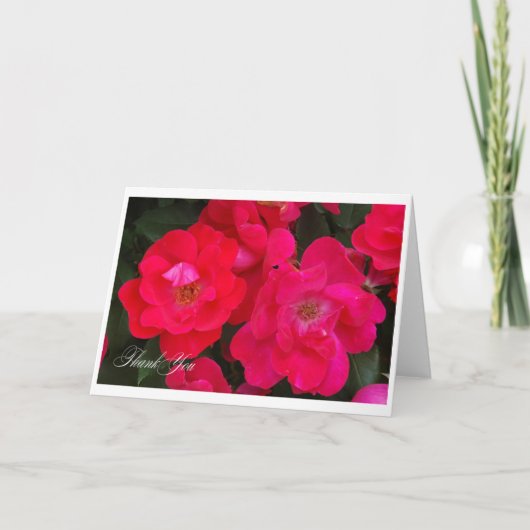 Danke Rosen (Vorderseite)