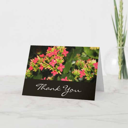 Danke, rote Blume Dankeskarte (Vorderseite)