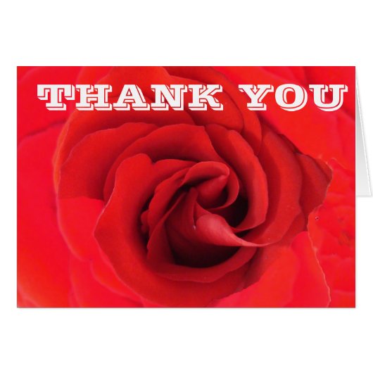 Danke Rote Rose Blume Nah-up Foto Floral (Vorderseite (Horizontal))