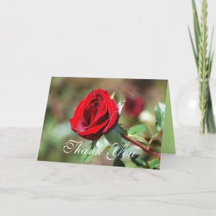 Danke Rote Rose Card