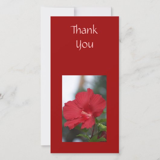 Danke roter Hibiskus (Vorderseite)