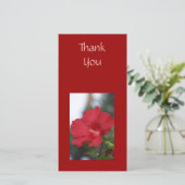 Danke roter Hibiskus (Stehend Vorderseite)