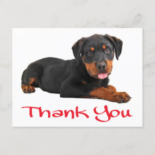 Danke Rottweiler Puppy Dog Gruß Postkarte