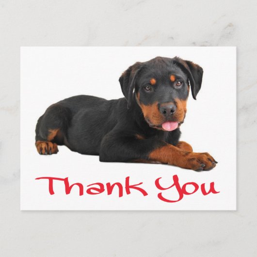 Danke Rottweiler Puppy Dog Gruß Postkarte (Vorderseite)