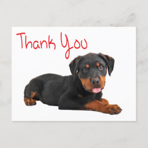 Danke Rottweiler Puppy Dog Gruß Postkarte