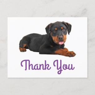 Danke Rottweiler Puppy Dog Gruß Postkarte