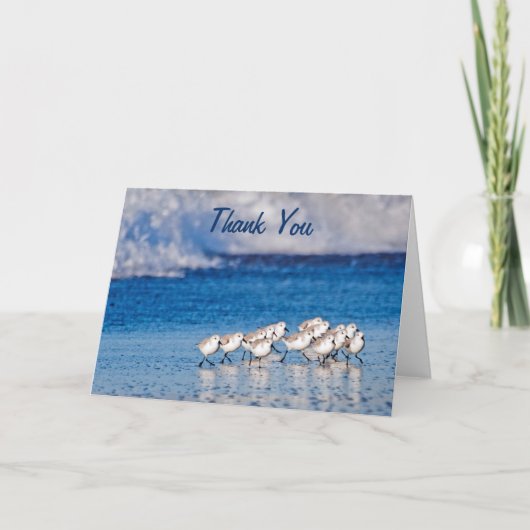 Danke | Sandpipers Karte (Vorderseite)