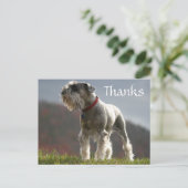 Danke Schnauzer Puppy Dog Grußkarte Postkarte (Stehend Vorderseite)