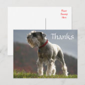 Danke Schnauzer Puppy Dog Grußkarte Postkarte (Vorne/Hinten)