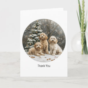 Danke schön Christmas Goldendoodle Welpen