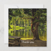 Danke schön Morning Light Sunrise Scripting (Vorderseite)