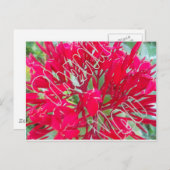 Danke schön Phantastische rote Blume Postkarte (Vorne/Hinten)