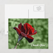 Danke schön postkarte (Vorne/Hinten)